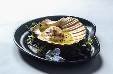 Vieira Gratinada - Quina Creu