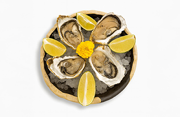 Ostra Fine de Claire-Quinacreu